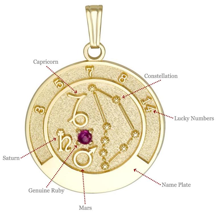 Front view of 14K gold Capricorn zodiac talisman pendant featuring ruby gemstone